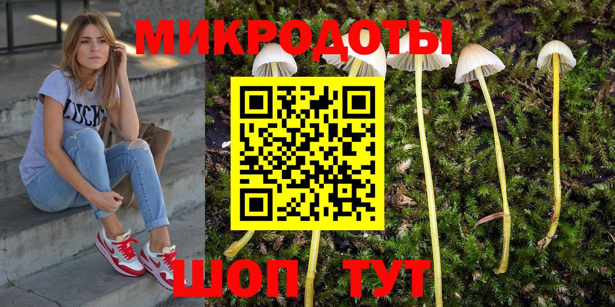 Псилоцибиновые грибы Psilocybe Солнечногорск