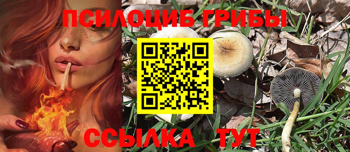 Галлюциногенные грибы GOLDEN TEACHER  Вход с VPN  Солнечногорск 