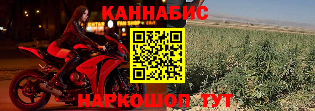 Шишки марихуана White Widow Солнечногорск